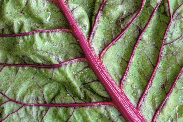 heather barnes VHFTd9iM05I unsplash